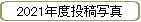 2021ǯƼ̿